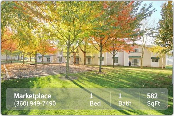 $1,336 / 1 habitación - 582 pies² - ¡Tu perro o gato es bienvenido! ¡Increíble apartamento amigable con mascotas de 1 hbt / 1 ba! (Vancouver)63842023820419122