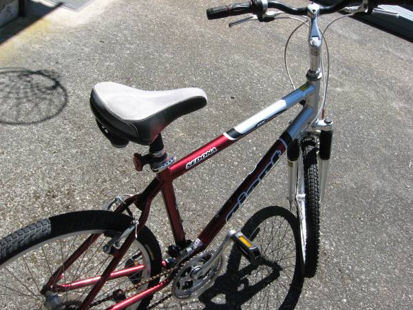 GIANT SEDONA DX MOUNTAIN BIKE - $35 (Marysville)63471420169091124