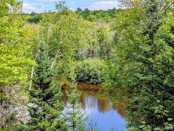 $80,000 33 Acres 1/4 of Net River frontage MLS 50188529 (Amasa)64151609235842124