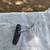 Dimarzio Strat humbucker pickups hs-3 hs-2 3 thumbnail