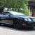2005 BENTLEY CONTINENTAL GT AWD 38k ORIG MILES *GT SPEED 20" WHEELS! 10 thumbnail