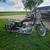 2000 Harley Davidson 1200 custom 1 thumbnail