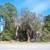 LAKE LOT FOR SALE 3 thumbnail