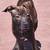 Puppies for sale 9 thumbnail