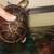 African side neck turtles 4 thumbnail