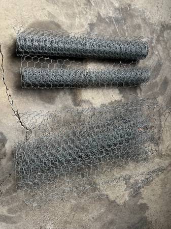 chicken wire 1