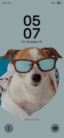 CUTE ANIMALS FOREVER HOME (Zimmerman)64050715973891120
