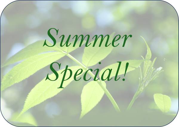 1 Month Free Special! Call Today! Updated & Pet Friendly! 1