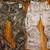 Outdoors Camo Hunting Gear-His & Hers - 1 Jacket/ 2 Pants - Brand New! 3 thumbnail