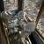 RABBITS 2 thumbnail