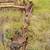 Farm implement 3 thumbnail