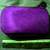 Rugged First Aid kits (see ad)UPDATE! 2 thumbnail