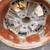 (1) Vintage torque thrust style mag wheel, unknown manufacturer.USA 5 thumbnail