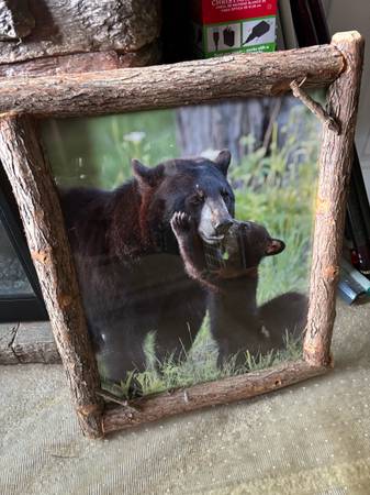 Natural tree frame bear picture 1