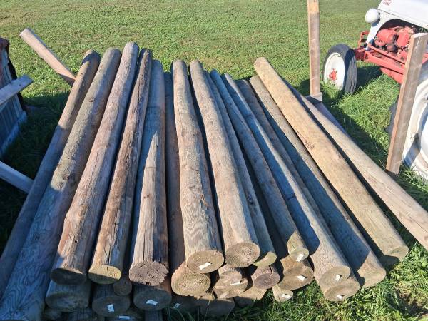 Treated Fence Posts 1