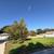 1522 Olive St 3 thumbnail
