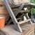 Free kittens 3 thumbnail