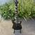 Guitar Jackson EMG-hz  pickups 4 thumbnail