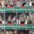 12. 1990-91 PRO SET NHL REFEREES Trading Cards ! 3 thumbnail