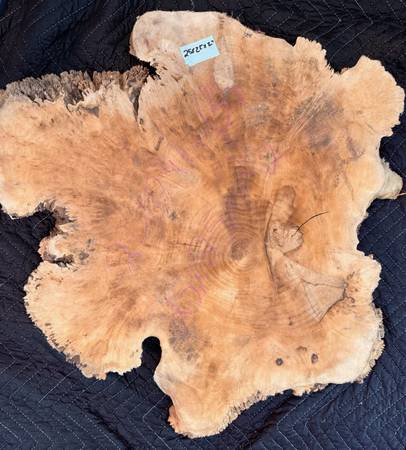 Live Edge Wood Slab 1