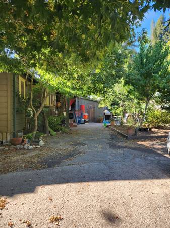$1,200 / 1br - 144ft2 - Room for Rent in Downtown Boulder Creek (Boulder Creek)63847328095745120