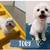 Professional dog groomer! Ready to put my grooming skills to work (Roseville are 3 thumbnail