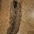 Large Macramé Camel Head 9 thumbnail