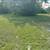 Land Clearing - Tractor Work - Small Ponds - $700 for 8 hours 16 thumbnail