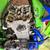 KLX 650 12 thumbnail