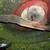 push lawnmower 6 thumbnail