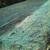 HYDROSEEDING - overseeding - power raking 25+yrs exp free estimates 19 thumbnail