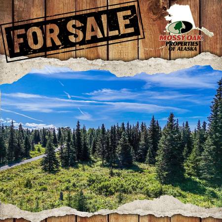 $20,000 - Price Reduction - Situated on a borough-maintained road (Ninilchik)64163342647683120