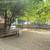 --- Renovated 1 Bed - Close to Harvard Sq-- NO FEE - Free Rent 6 thumbnail