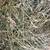 Alfalfa Grass Hay 7 thumbnail