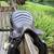 English saddle 2 thumbnail