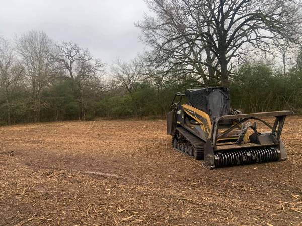 Forestry mulcher operator expert 1