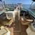 2014 Sea Ray 260 SunDeck 8 thumbnail