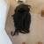 Motorcycle Sissy Bar Bag 2 thumbnail