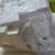 XEROX-Document Work Centre -PRO 657-NEW 15 thumbnail