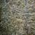 Grass Alfalfa Mix 1st crop small bales hay 1 thumbnail