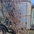 FS-Parting out 1933-1947 Dodge trucks 10 thumbnail