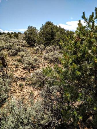 $4,500 / 21590ft2 - 1/2 Acre Taos County NM land (Tres Piedras)63659747025409120