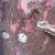 Farmall M hood w/ extra bump out around steering shaft, rare? 8 thumbnail