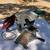 Makita 10 inch miter saw 2 thumbnail