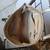 Brahmin 3pcSet Melbourne Asher Tote Bag Wallet&Case Crocodile Embossed Champagne 5 thumbnail