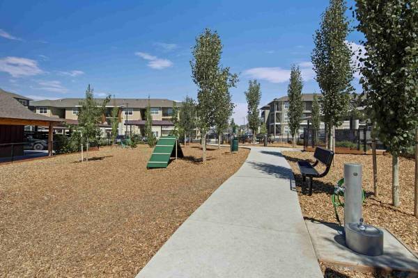 $1,619 / 1 hab. - 768 pies² - Escapada exclusiva de 1 hab./1 baño con patio, administración en el lugar (Distrito Old Farm)63839291972995123