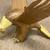 Charming Vintage to Antique Americana Folk Art Bald Eagle 3 thumbnail