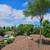Tree Trimming/Tree Removal: (831) 588-2585 10 thumbnail