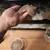 Geckos 7 thumbnail