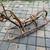 Mid century Franco Albini style rattan rocking horse B52 6 thumbnail